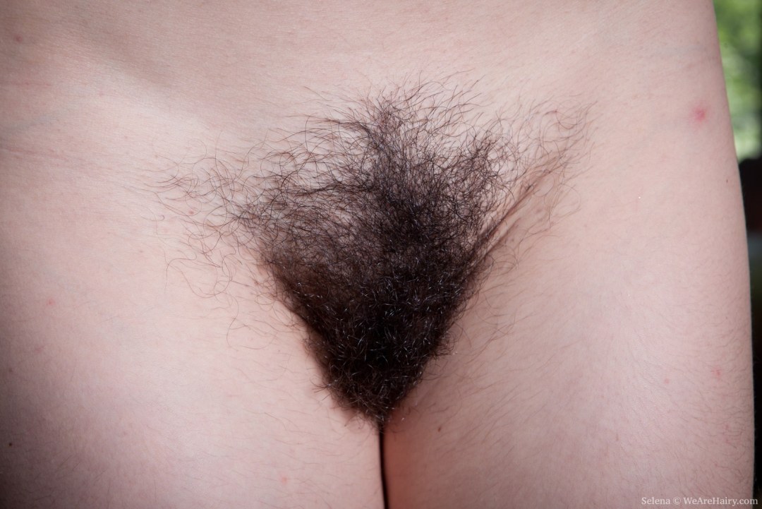 Густой волосатый лобок