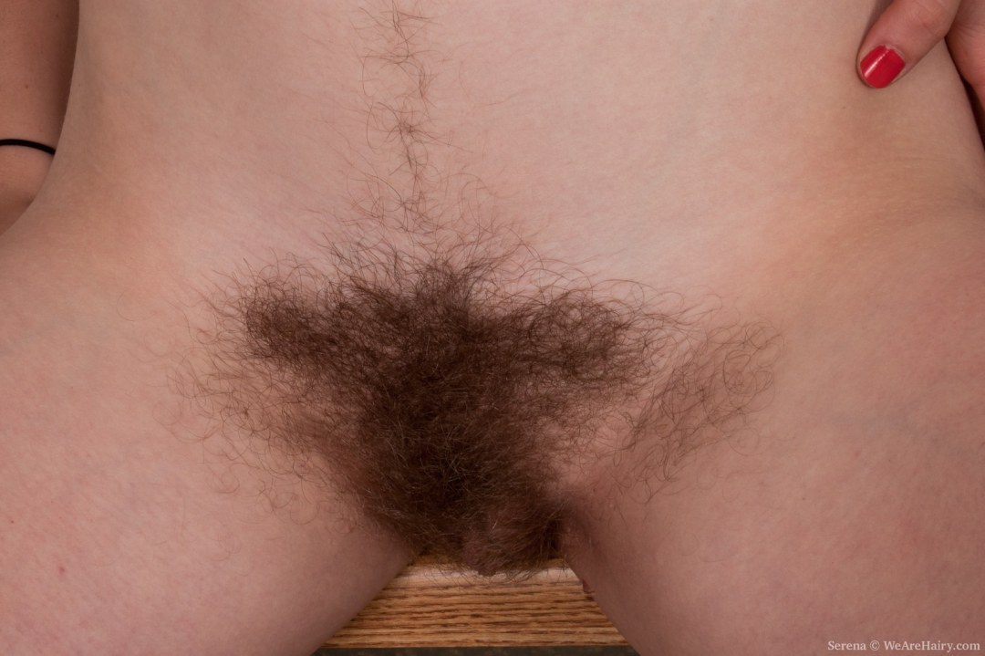 Очень волосатые лобки у женщин