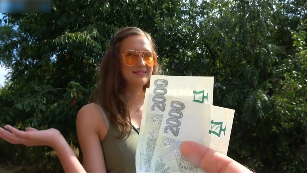 Публичный агент Чехия