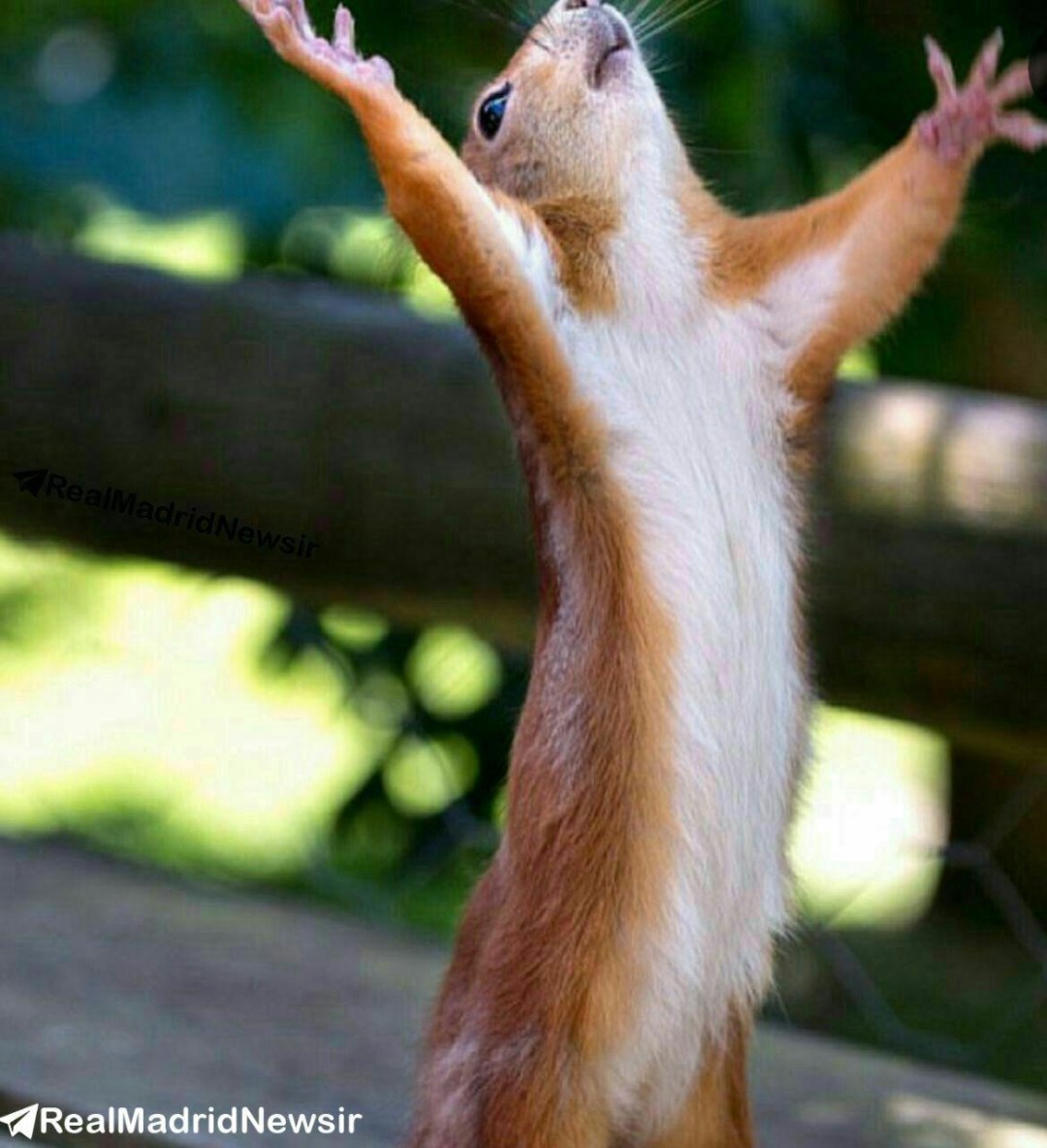 Соня и Андрей