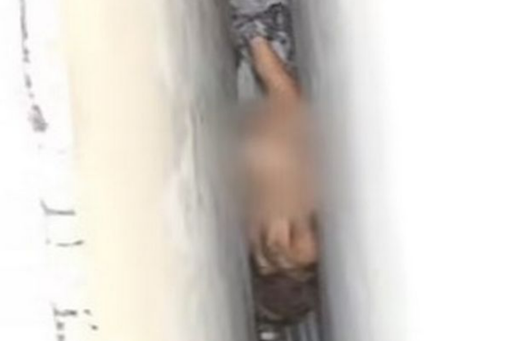 Застряла голышом на дереве