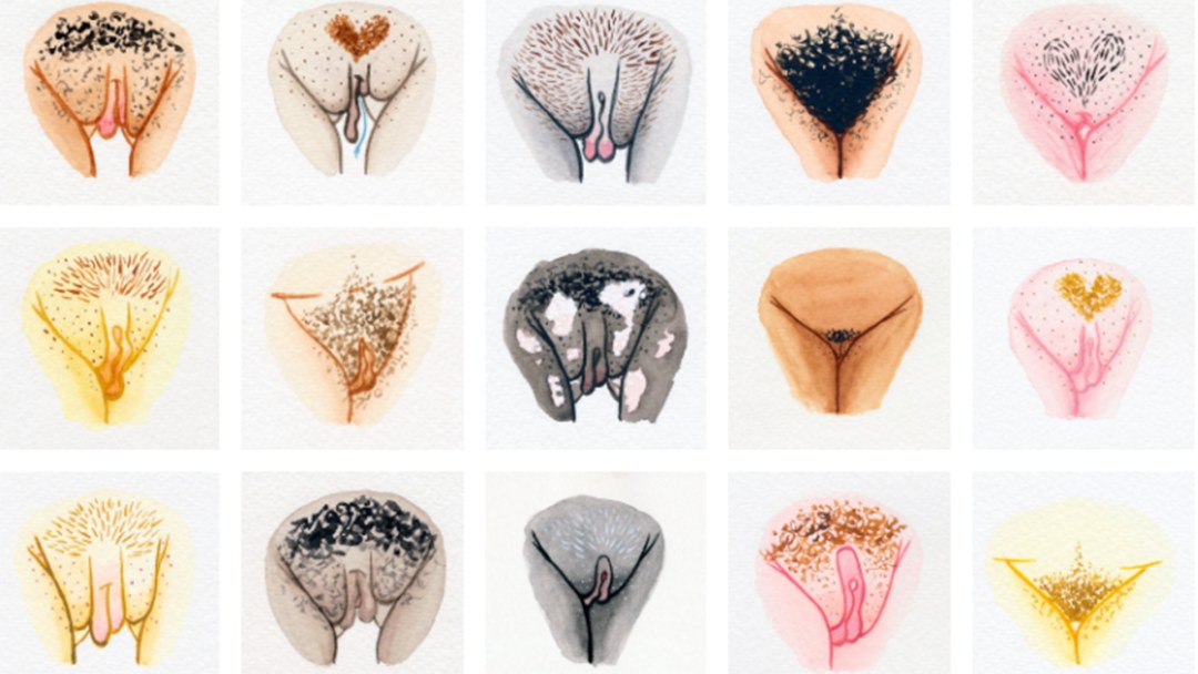 The great Wall of vagina Джейми Маккартни