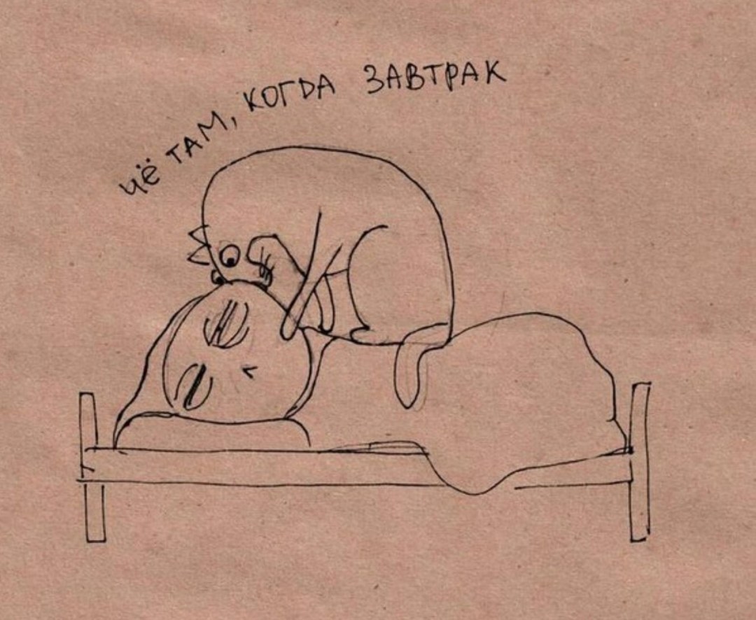 С добрым утром юмор