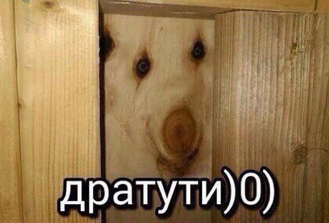 Полина Малиновская хот