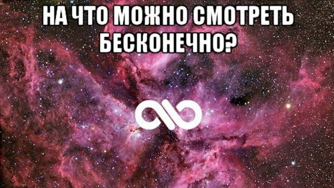 Полина Савекина блогер